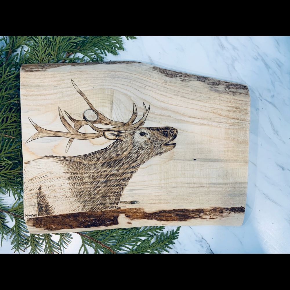 Wood burned elk on raw wood